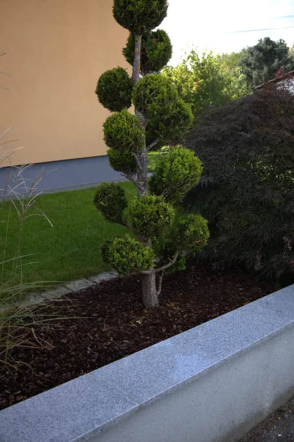 Gartenpflege vom Profi in Aigen-Schlägl und Umgebung