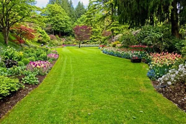 Rindenmulch & Gartenfaser