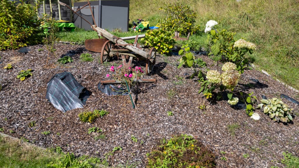 Professioneller Gartenservice im Raum in Linz