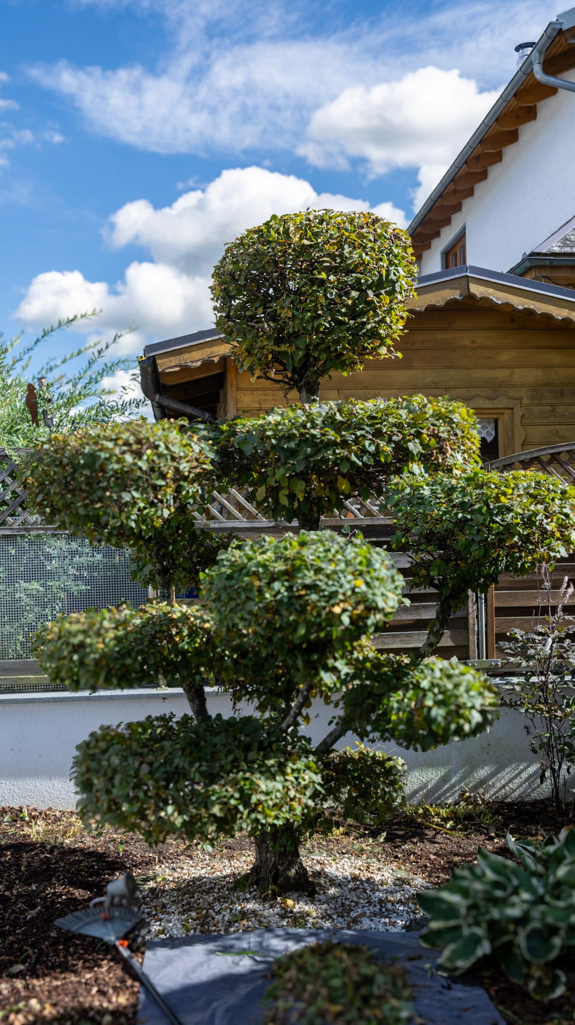 Ganzjährige Gartenpflege in Oberösterreich